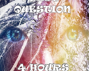 1 Fast Question (4hrs)