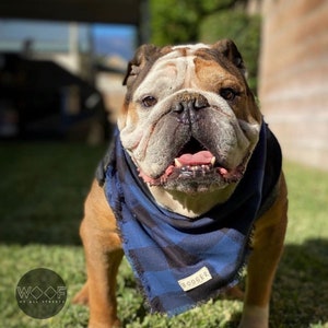 Blue Checkered Dog Bandana- Personalized Name Tag Pet Bandana - Customize Tag bandana - Woof Pak - Pet Bandana