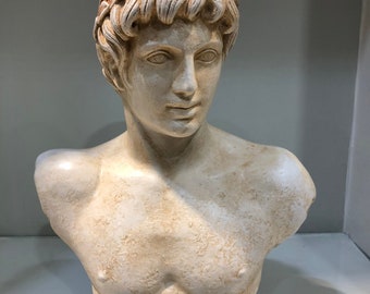 アポロンの胸像 ギリシャ神 石膏彫刻 古代ギリシャ 音楽と太陽の神