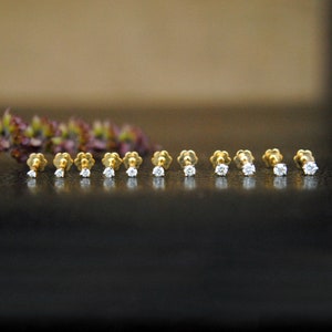 May include: Ten gold nose studs with a single clear diamond in the center of each stud.