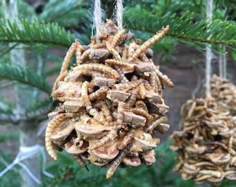 Mealworm Bird Feeders: Set of 6 or 10. Hanging bird feeders. Wild bird food.