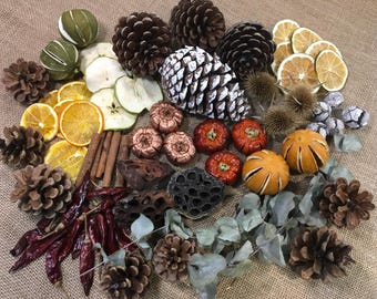 75 Piece Dried Fruit & Natural Decor Set. Wreath making supplies. Winter home decor. Seasonal pot pourri. Natural home decor.