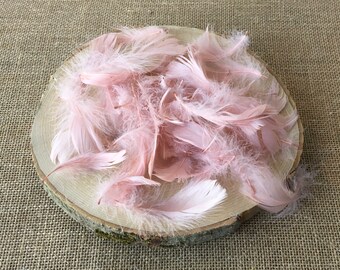 50 Decorative Craft Feathers: Mixed Size Table Scatter
