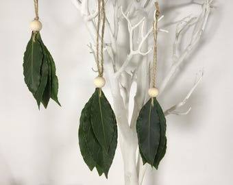 Fresh bay leaf hanging decorations - set of 3 - 20cm - organic bay leaves