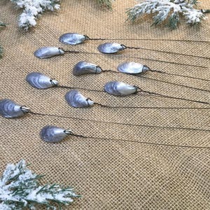 May include: Several silver mussel shells, each fixed to a thin, dark wire, are displayed on a textured, tan background. The shells have a pearlescent sheen and a natural look. Frosted pine branches provide a decorative backdrop.