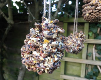 Natural eco bird feeders - Set of 5 Austriaca pine cones loaded with wild bird seed. Reusable Eco bird feeder. Gardening gift.