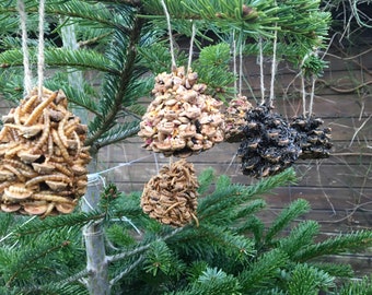 Hanging Bird Feeders. 6 handcrafted garden bird feeders. Wild Bird food, Nyger seed, Dried Mealworms.