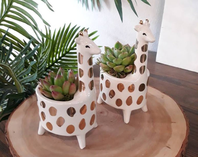 Ceramic Gold Giraffe Succulent Planter (Succulent & Personalized Card Included) Animal Planter Pot | Succulent Pot Gift, Cute Animal Planter