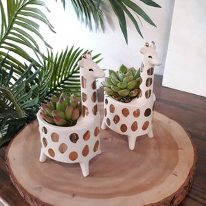 Ceramic Gold Giraffe Succulent Planter (Succulent & Personalized Card Included) Animal Planter Pot | Succulent Pot Gift, Cute Animal Planter