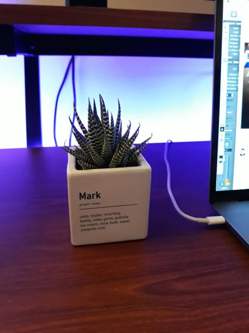 Personalized Name Definition Planter Pot Custom Name Etsy