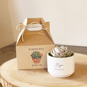 Bridesmaid Gift Box: Live Succulent & Card Included
