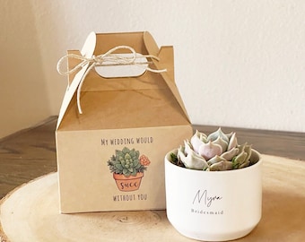 Bridesmaid Gift Box: Live Succulent & Card Included
