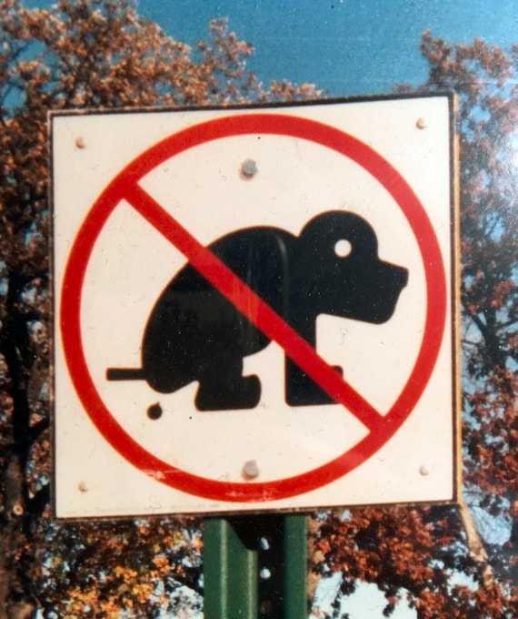 Minnesota Rest Area Warning Sign Curb Your Dog No Waste Poop