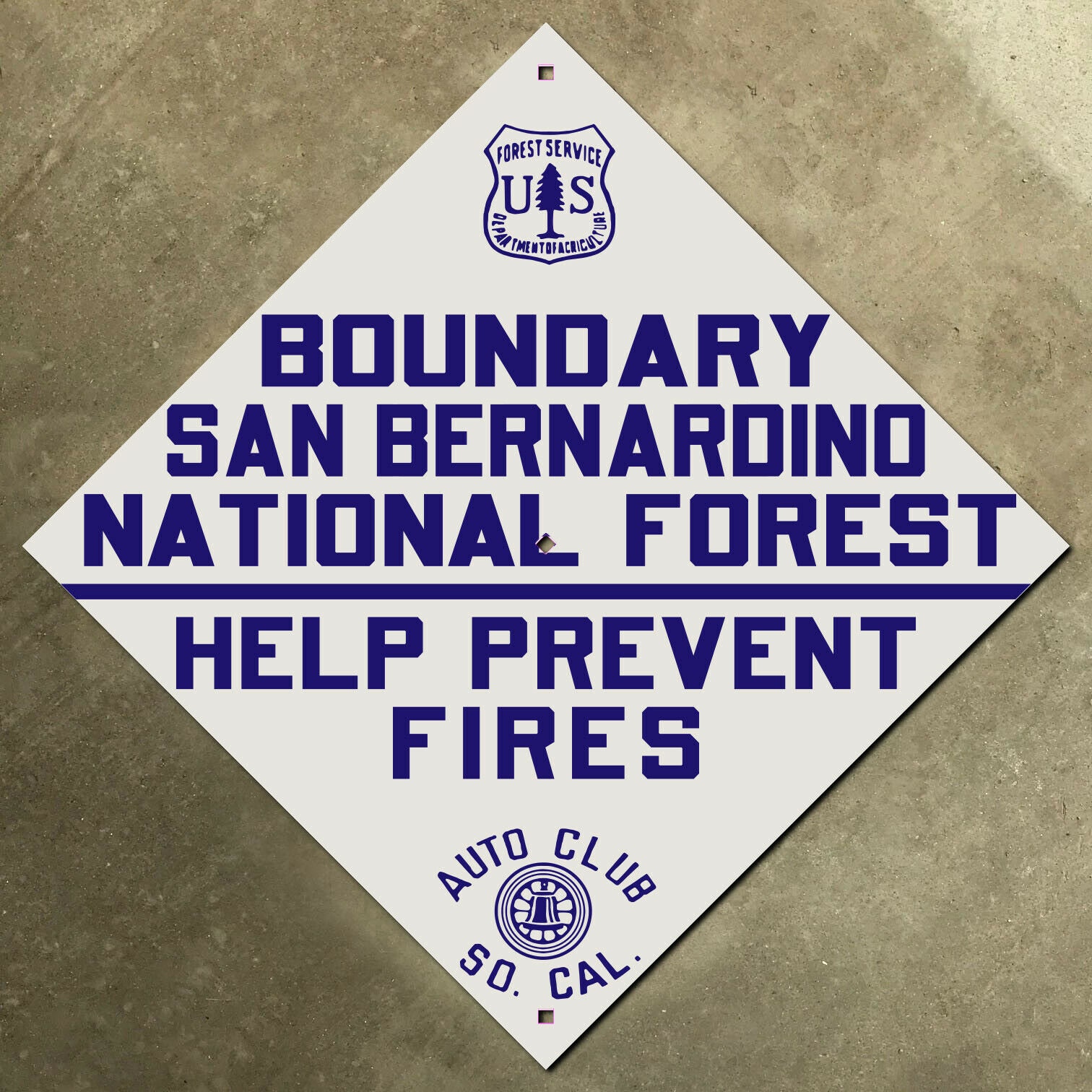 San Bernardino Forest