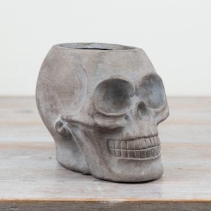Pode incluir: Um vaso cinzento em forma de caveira feito de concreto. O vaso tem um topo oco para plantas ou outros itens decorativos. A caveira apresenta órbitas oculares detalhadas, uma cavidade nasal e uma fileira de dentes. O vaso está sobre uma superfície de madeira.