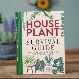 House Plant Survival Guide: Tips And Tricks For Keeping Your Plants Alive
