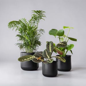 Vaso per piante da interno Ivyline: Antracite