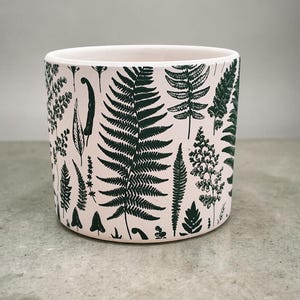 Può includere: Vaso cilindrico in ceramica con interno bianco ed esterno rosa chiaro. L'esterno è decorato con un motivo ripetuto di illustrazioni di felci e foglie verde scuro. Adatto per uso interno o esterno.