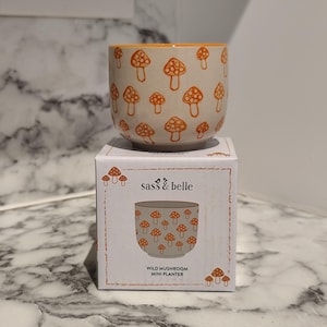 Puede incluir: Un mini macetero de cerámica beige decorado con motivos de setas naranjas. El borde es naranja. Se encuentra sobre una caja blanca con el texto "sass & belle" y "WILD MUSHROOM MINI PLANTER".