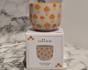 Sass & Belle Hand Painted Mushroom Mini Plant Pot - Choice of Colours - Red, Yellow, Brown