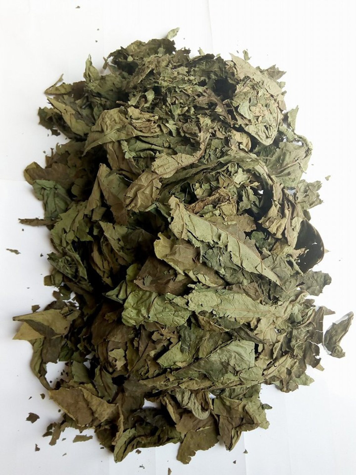 Bitter Leaf From Africa vernonia Amygdalina Etsy UK