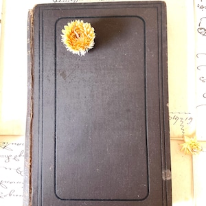 1878 Catiline Clodius And Tiberius | Edward Spencer Beesly | FIRST EDITION Chapman | Brown Antique Hardback