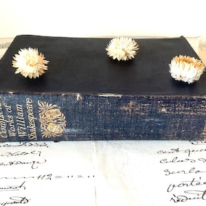The Complete Works Of William Shakespeare | VINTAGE Circa 1930s | Classic Hardback | Compendium of Shakespeare Plays, Sonnets and Poems