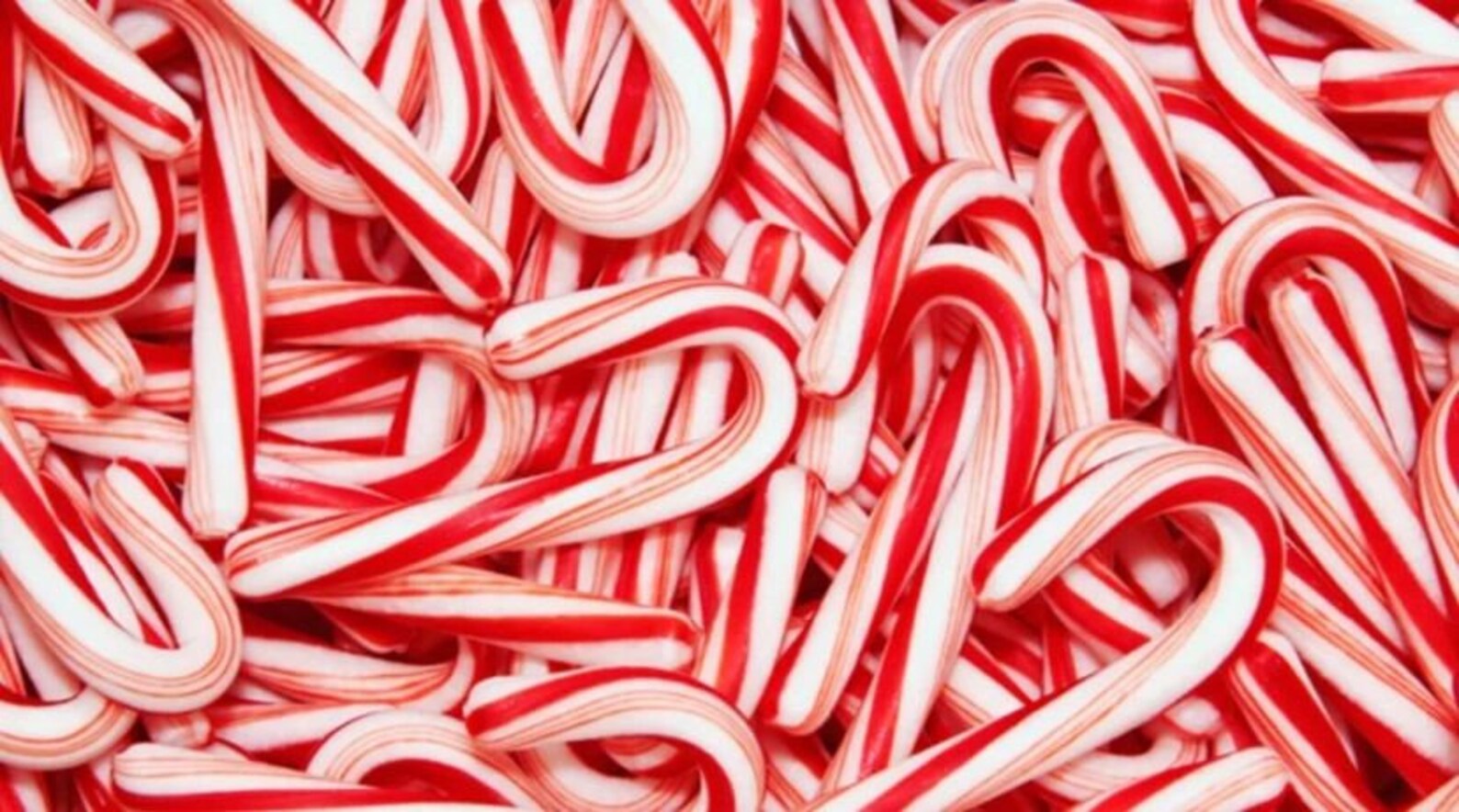 Candy Canes Candy Cane Fragrance 100 Organic Botanical Etsy