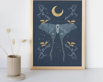 Moth illustration decoration moth poster
