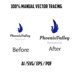 Turn image to vector, convert logo to vector, vectorise, recreate, ai, png, jpg, Logo Conversion, Custom Design