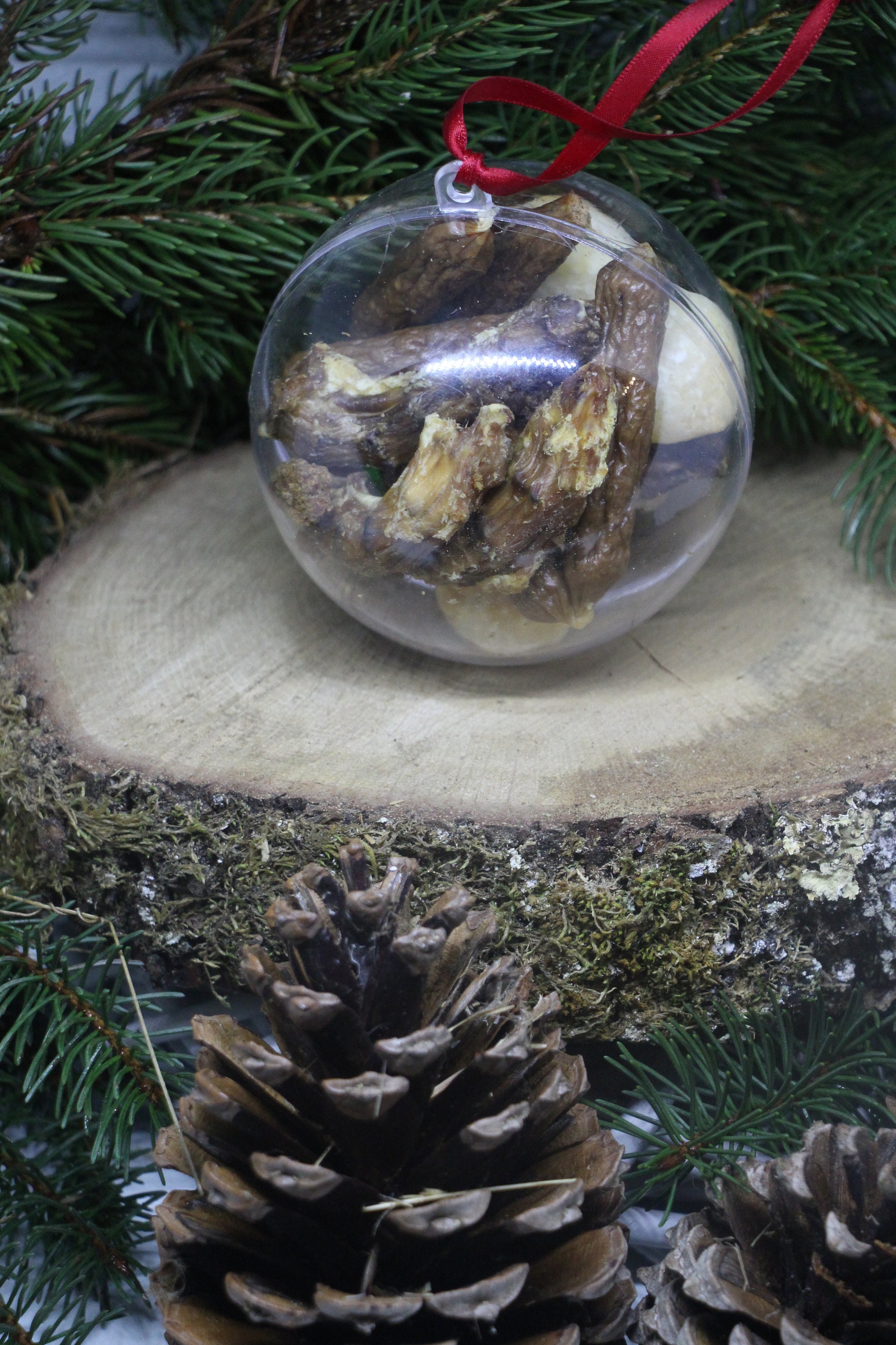 Boule de Noel avec Friandises Pour Chien ou Chat