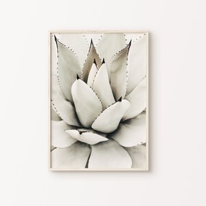 Weiße Sukkulenten DIGITAL Print, Kaktus große Wandkunst, botanisches Poster, Boho weiße Sukkulenten Makrofotografie, Neutrales Kakteen Bild