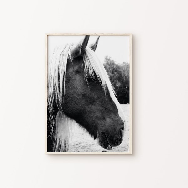 Horse Photography Print, DIGITAL Rustic Farmhouse Large Wall Art, Modern Farmhouse Decor, Animals Black and White Print, Wild Horses Poster