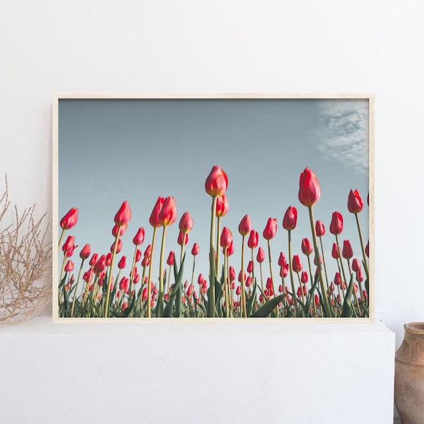 Tulip Print, Red Flower Print, Flowers Field Wall Art, Tulip Wall Art, Botanical Digital Print, Nature Photography Art Print, Large Wall Art