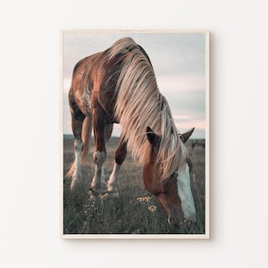 Printable Horse Photography, Rustic Farmhouse Large Wall Art, Modern Farmhouse Decor, Equestrian Print, Wild Horses Poster, Horse Lover Art