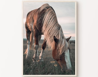 Fotografia di cavalli stampabile, grande arte murale rustica in stile fattoria, arredamento moderno in stile fattoria, stampa equestre, poster di cavalli selvaggi, arte per amanti dei cavalli