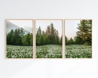 Forest Set of 3 Prints, Printable Nature Landscape 3 Pieces Wall Art, Green Nature Photography Set, Mountain Poster, Digital Download