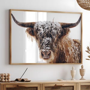 Snowy Highland Cow Wall Art, Scottish Cow DIGITAL Poster, Winter Rustic Farmhouse Decor, Western Photography Print Cattle Farm Animal Canvas