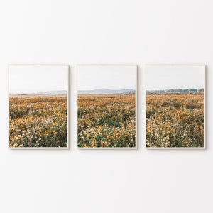Ensemble de 3 photographies fleurs sauvages, paysage naturel imprimable 3 pièces grand art mural, ensemble d'impressions de champ de coquelicots, art fleurs de la nature