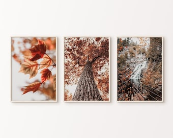 Herfst bos afdrukbare set van 3 fotografie, herfst landschap set van 3 prints, herfst muur decor, rode herfst blad kunst aan de muur, boerderij herfst decor