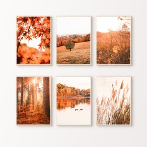 Druckbares Herbst-Set mit 6 Drucken, Herbst 6-teilig, große Wandkunst, Herbstwald, Herbstgalerie, Herbst, Bauernhausdekor, Herbstfotografie
