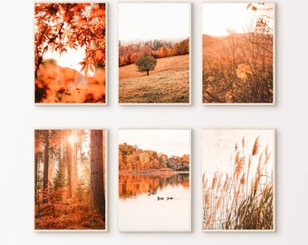 Printable Fall Set of 6 Prints, Autumn 6 Pieces Large Wall Art, Fall Forest Gallery Wall Set, Fall Farmhouse Decor, Fall Photography