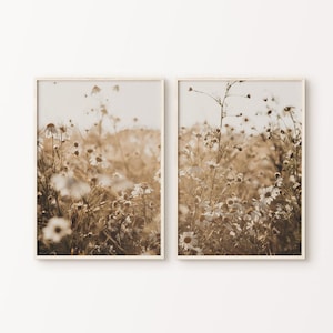 May include: Two framed prints featuring a field of white daisies in a sepia tone. The artwork captures the delicate details of the flowers and the soft, diffused light, creating a serene and natural aesthetic. The frames have a light wood color.