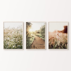 Druckbare Wildblumen Set von 3 Fotografie, Natur Landschaft 3 Stück Große Wandkunst, Grüne Natur Prints Set, Nordischer Wald Digitale Kunst