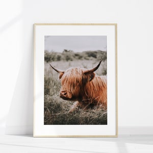 Stampabile Western 5 pezzi Wall Art, Country Farmhouse Set di 5 stampe, Highland Cow Large Photography,, Western Gallery Set, Horse Poster immagine 3