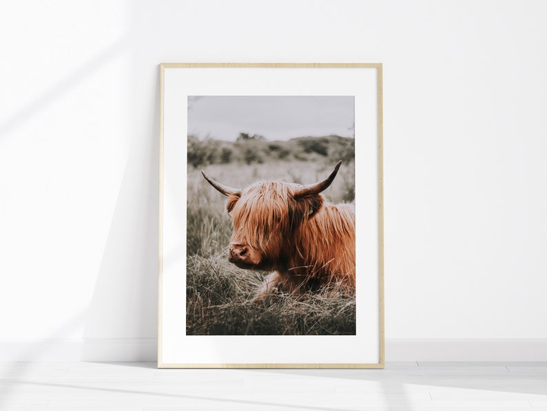 Stampabile Western 5 pezzi Wall Art, Country Farmhouse Set di 5 stampe, Highland Cow Large Photography,, Western Gallery Set, Horse Poster immagine 3