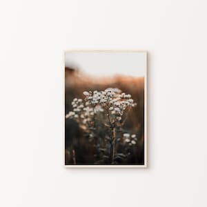 Printable Dried Grass  Wall Art, Neutral Botanical Photography, Boho Wall Decor, Rustic Nature Print, Farmhouse Wildflowers Large Wall Art