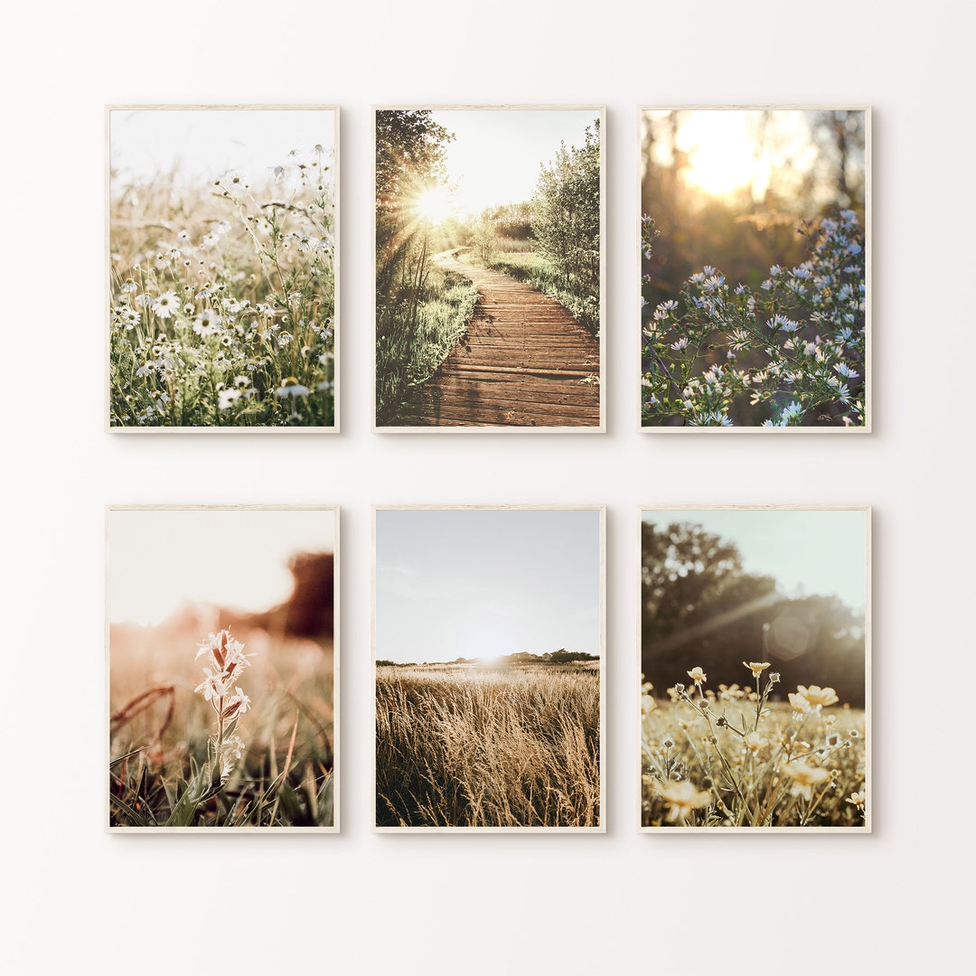 Printable Nature Set of 6 Photography, Wildflowers 6 Pieces Large Wall ...