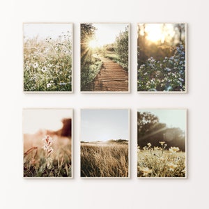 Printable Nature Set of 6 Photography, Wildflowers 6 Pieces Large Wall Art, Green Nature Prints Set, Forest Landscape Digital Download Art