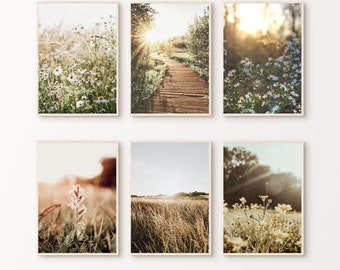 Ensemble de 6 photographies de la nature à imprimer, fleurs sauvages, grand art mural 6 pièces, ensemble d'estampes de la nature verte, paysage forestier en téléchargement numérique